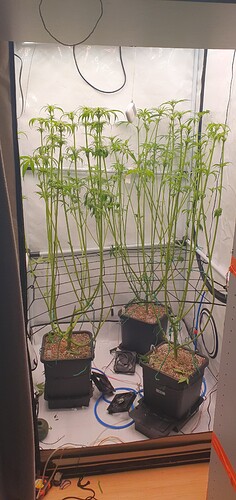 Growreport Bild 8