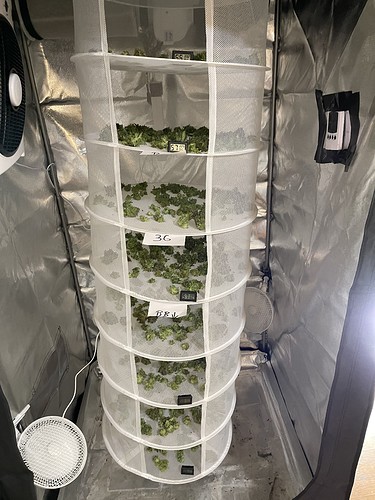 Growreport Bild 58