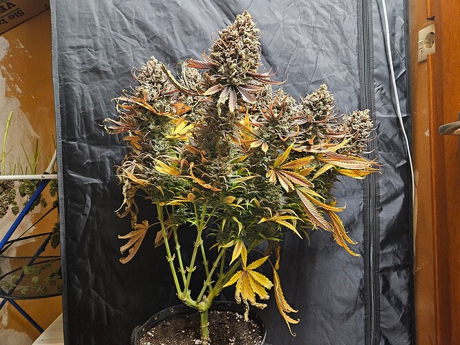 Growreport Bild 8