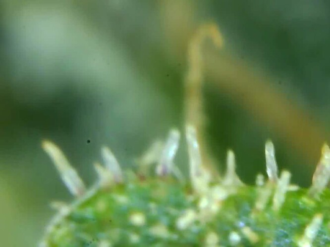 Growreport Bild 24