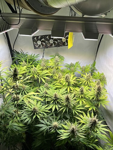 Growreport Bild 2