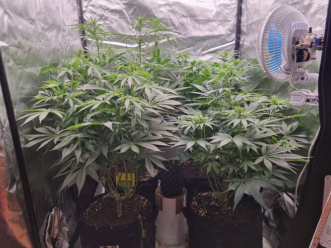 Growreport Bild 25