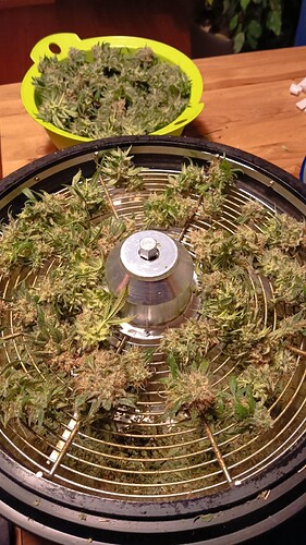 Growreport Bild 11