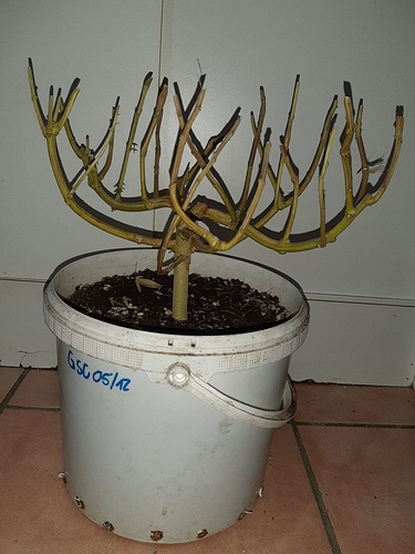 Growreport Bild 17