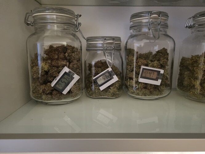 Growreport Bild 59
