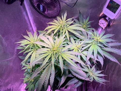 Growreport Bild 23