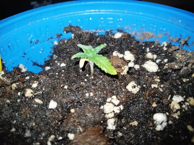 Growreport Bild 12