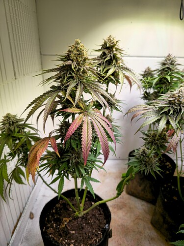 Growreport Bild 18