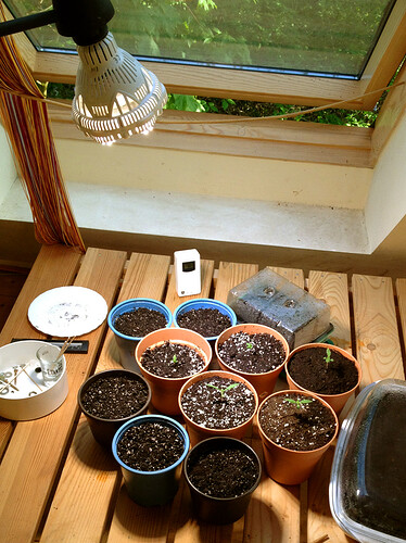 Growreport Bild 60