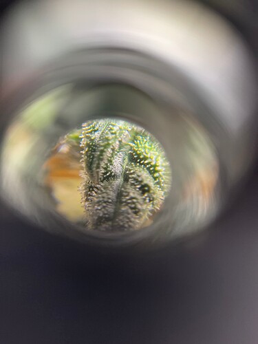 Growreport Bild 7