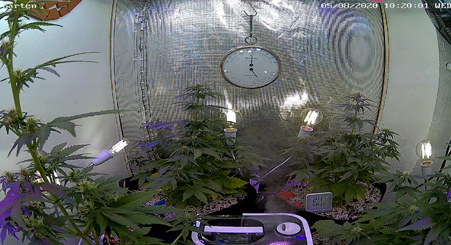 Growreport Bild 2
