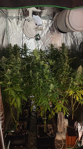 Growreport Bild 3