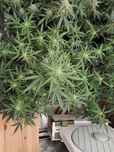 Growreport Bild 22