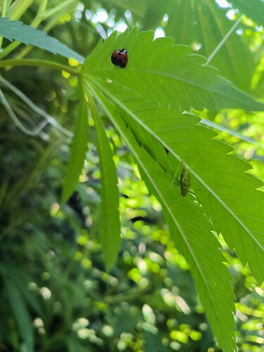 Growreport Bild 11