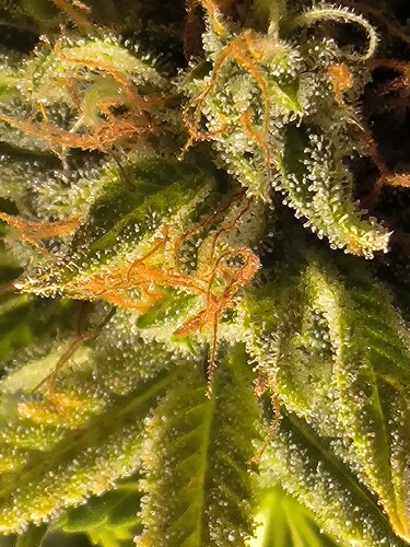 Growreport Bild 18