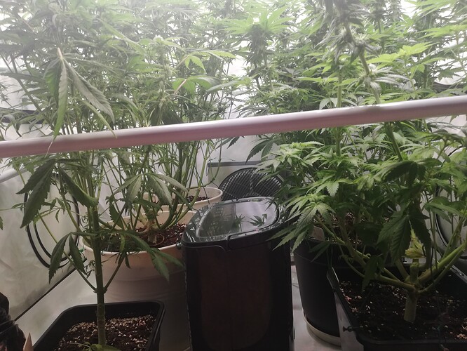 Growreport Bild 6