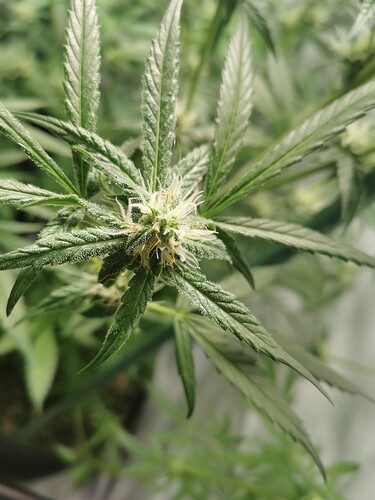 Growreport Bild 12