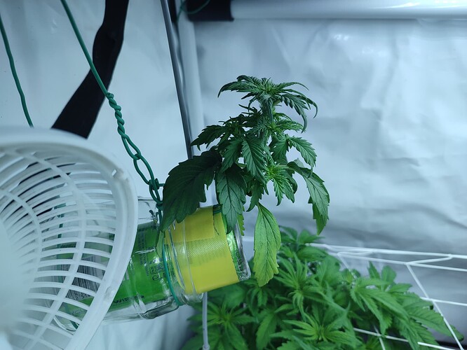 Growreport Bild 12