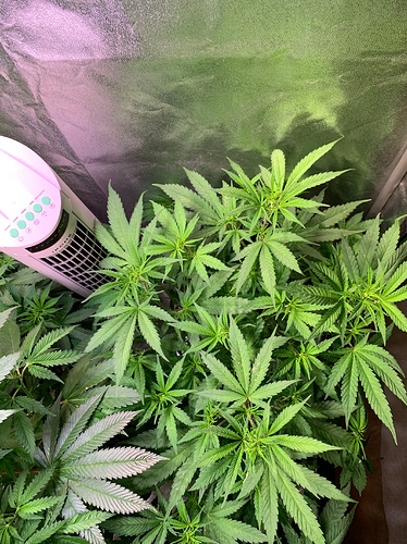 Growreport Bild 6