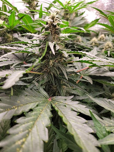 Growreport Bild 10