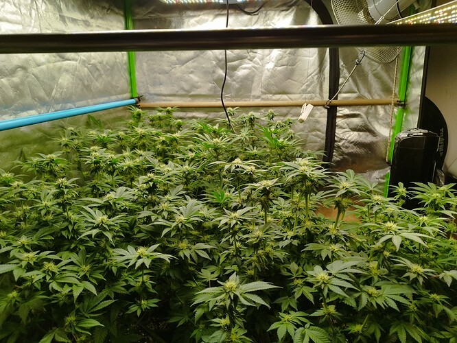 Growreport Bild 11