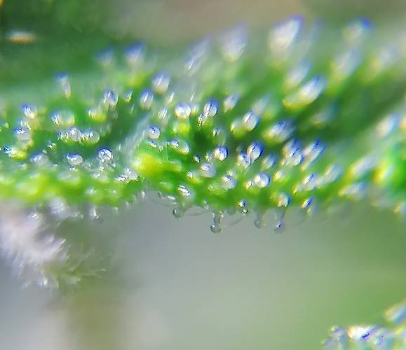 Growreport Bild 11