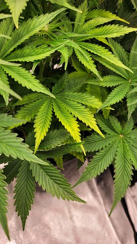 Growreport Bild 10