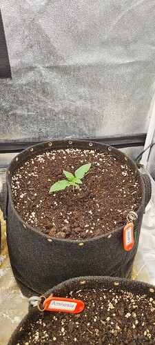 Growreport Bild 38