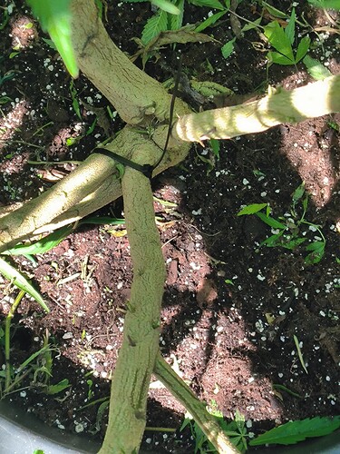 Growreport Bild 13