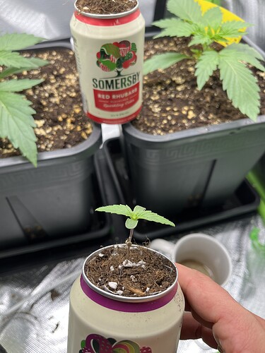Growreport Bild 10