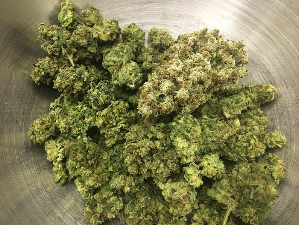 [Substral/BioTabs] Lemon Shining Silver Haze