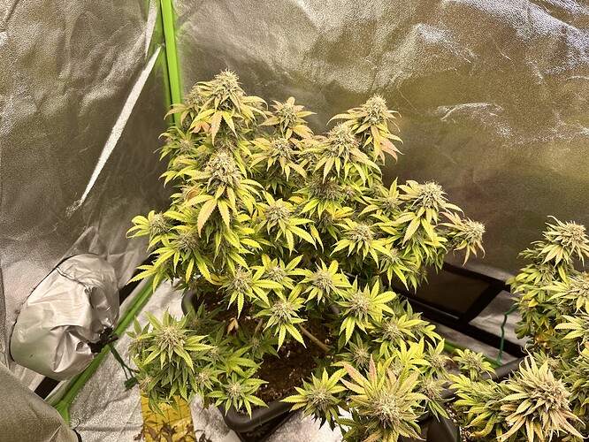 Growreport Bild 8
