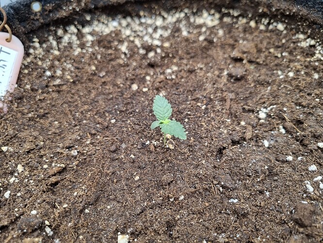 Growreport Bild 25
