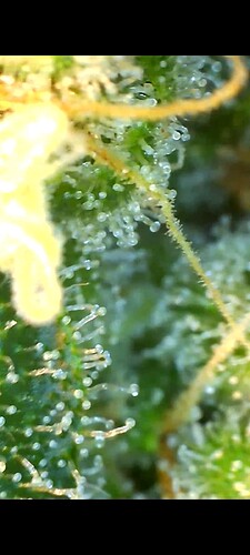 Growreport Bild 12