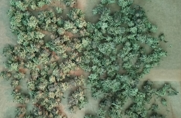 Growreport Bild 19