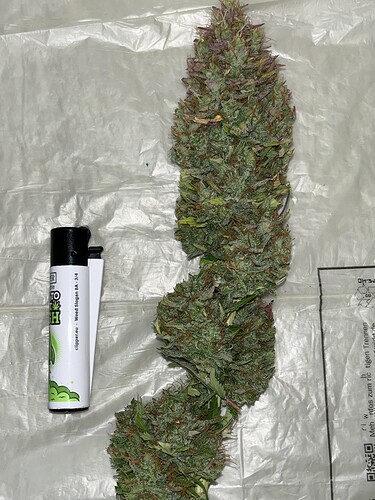 Growreport Bild 11