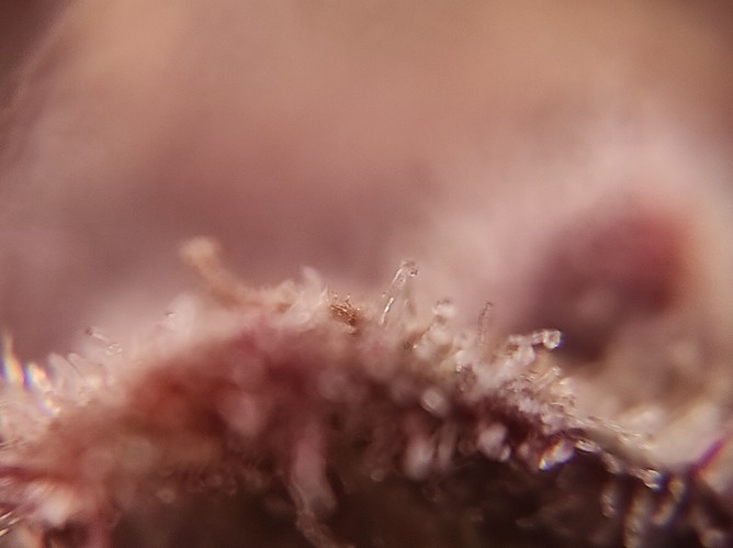 Growreport Bild 12