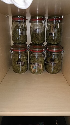 Growreport Bild 21