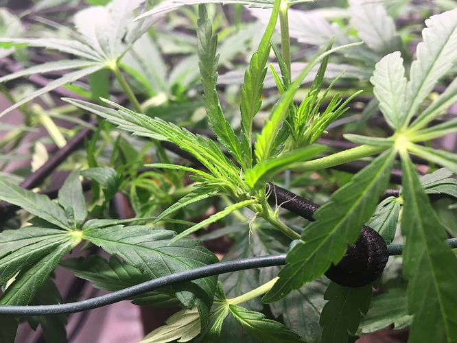 Growreport Bild 14