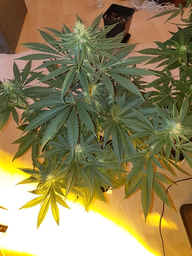 Growreport Bild 10