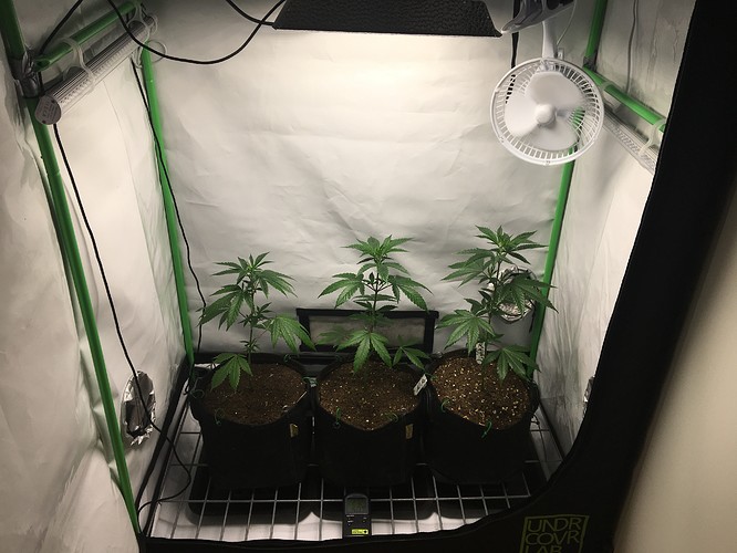 Growreport Bild 8