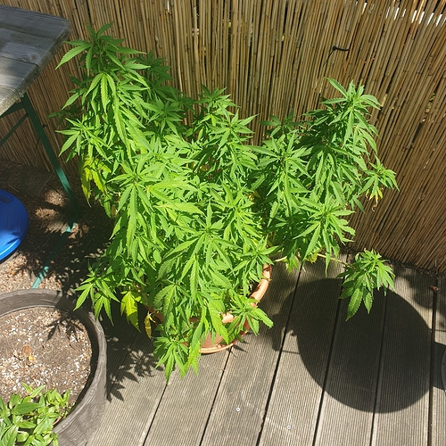 15938584651836644113240998998656