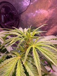 Growreport Bild 28