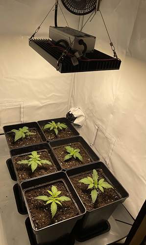 4913741_grow-journal-by-glen1818