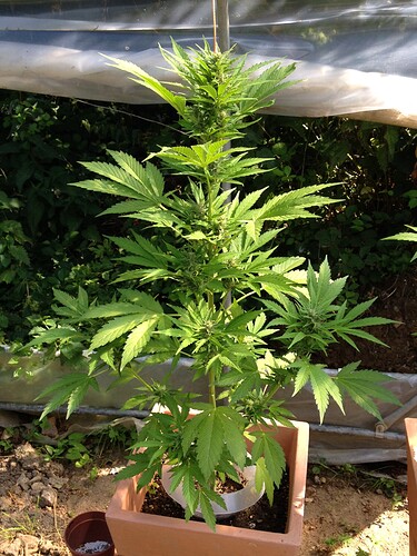 070_SiebterSiebter_09