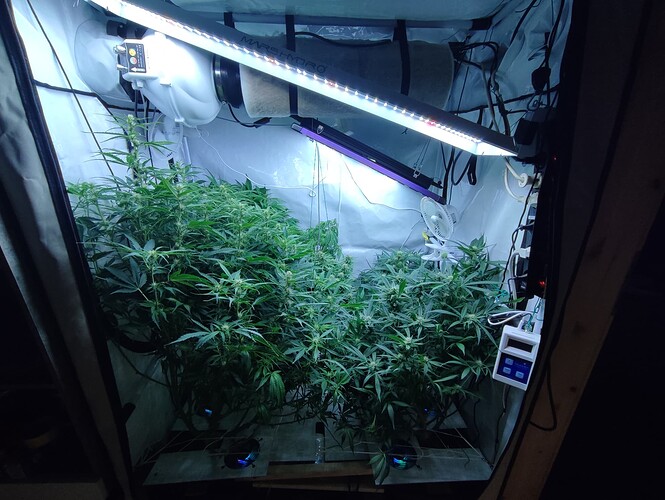 Growreport Bild 8