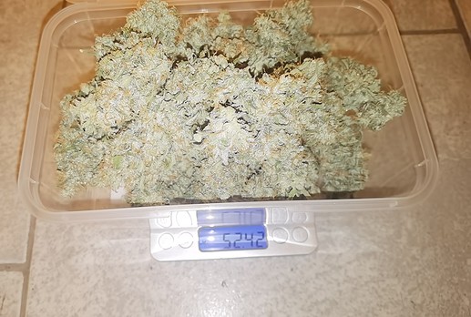 Growreport Bild 11