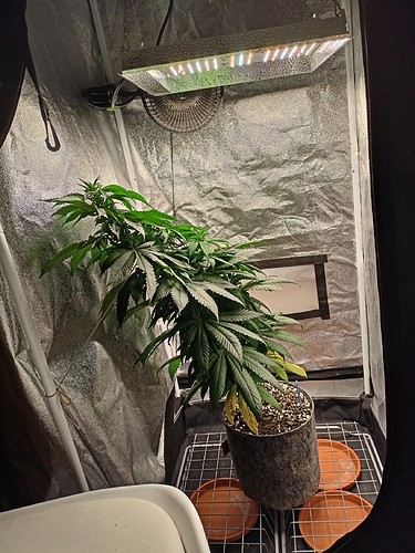 Growreport Bild 1