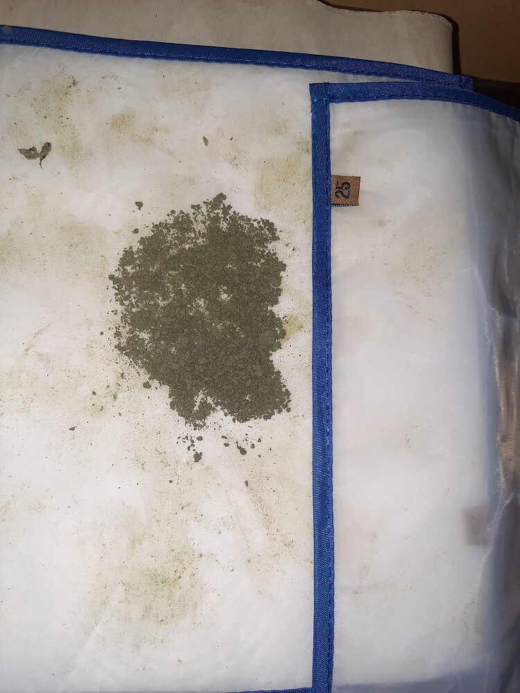 Erster Grow / Autos / 60x60x140cm Zelt