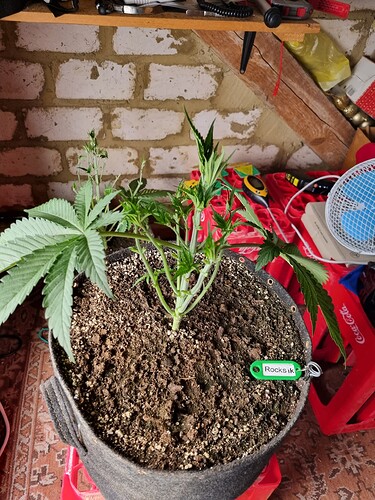Growreport Bild 10